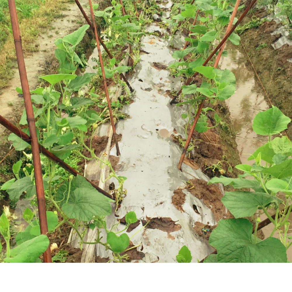 Hb456cc06c30d42c39b8c7cadd2988238j (1)